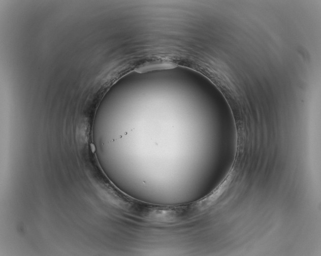 X0000111840174200907301057