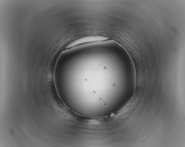 X0000111840176200907301057