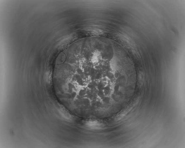 X0000111840177200907301057