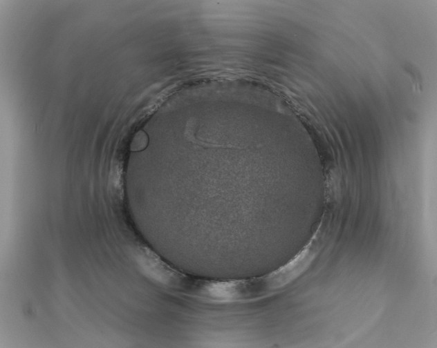 X0000111840178200907301058