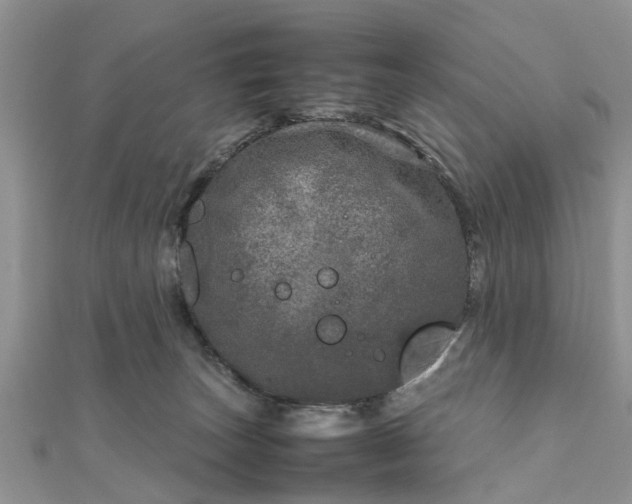 X0000111840179200907301058