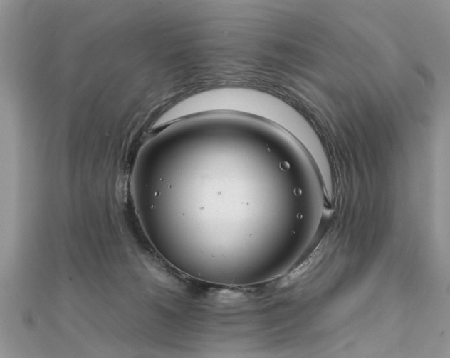 X0000111840180200907301058