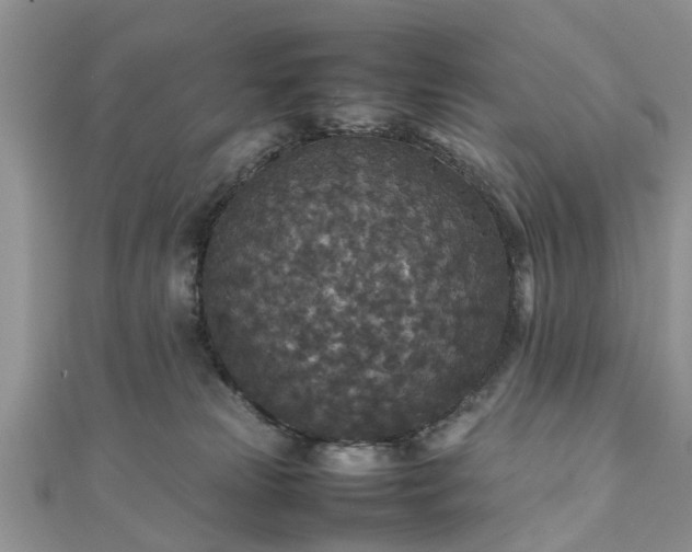 X0000111840181200907301058