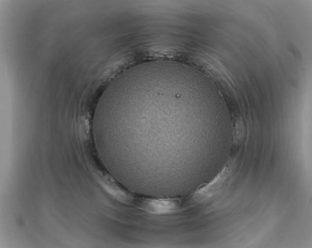 X0000111840183200907301058