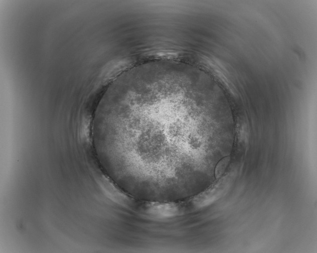 X0000111840185200907301058