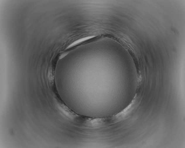 X0000111840186200907301058