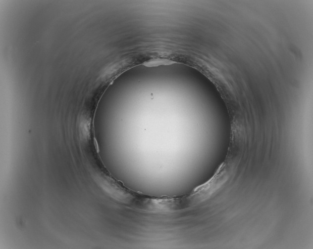 X0000111840188200907301058