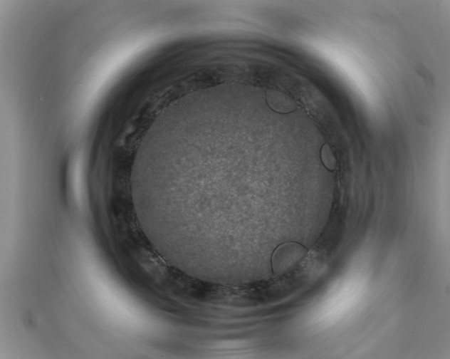 X0000111840189200907301058