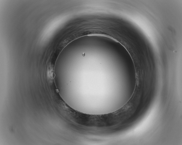 X0000111840190200907301058