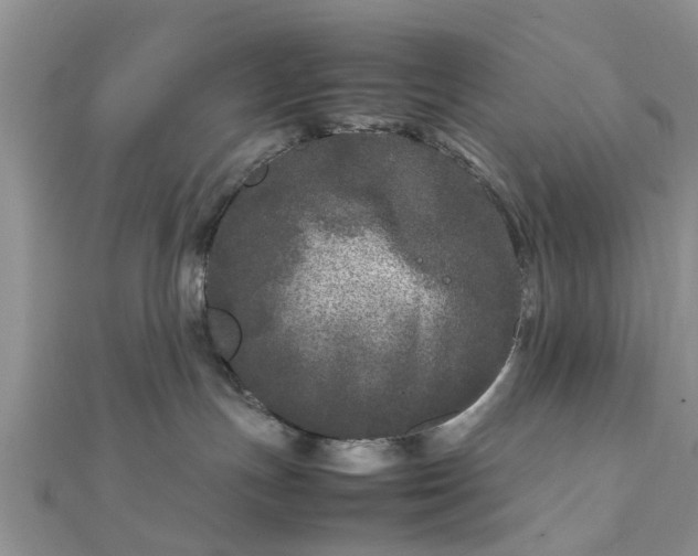 X0000111840191200907301058