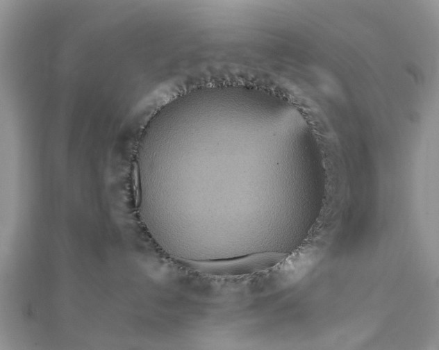 X0000111840192200907301058