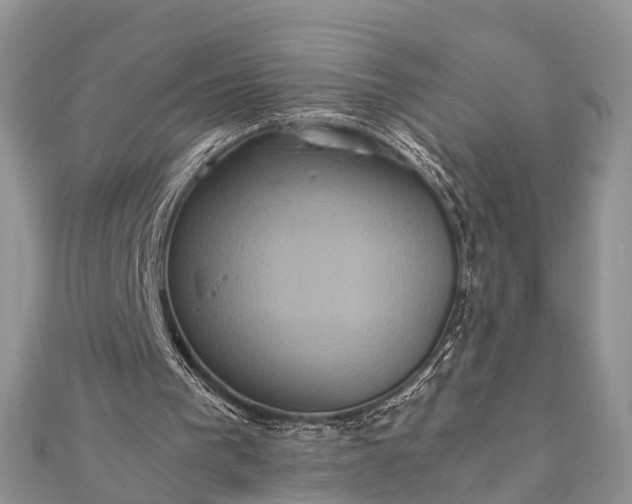 X0000111840193200907301057