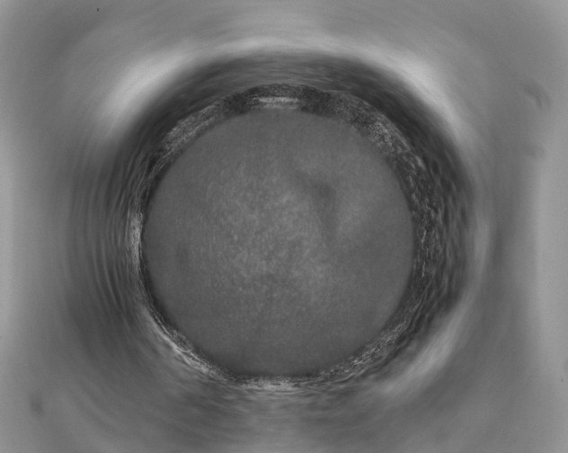 X0000111840194200907301057