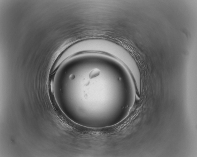 X0000111840195200907301057