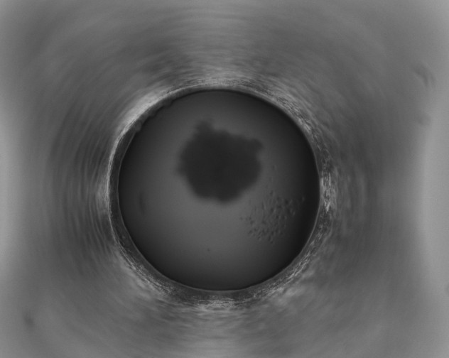 X0000111840196200907301057