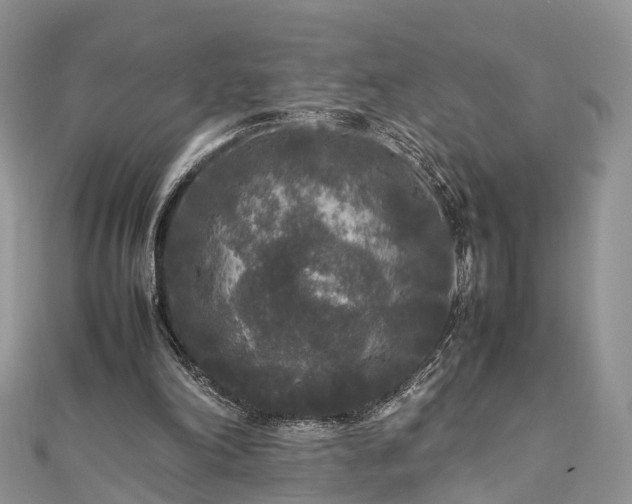 X0000111840198200907301057