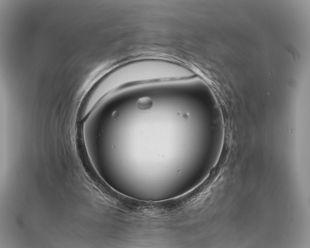 X0000111840199200907301057