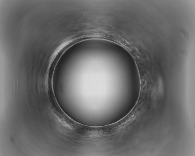 X0000111840200200907301057