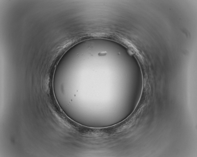 X0000111840201200907301057