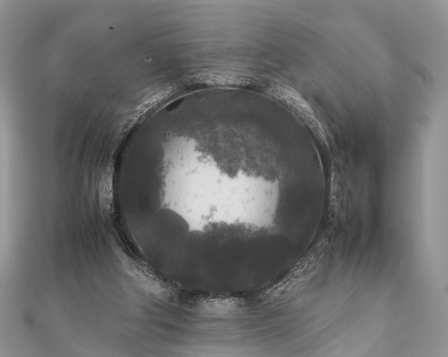 X0000111840202200907301057