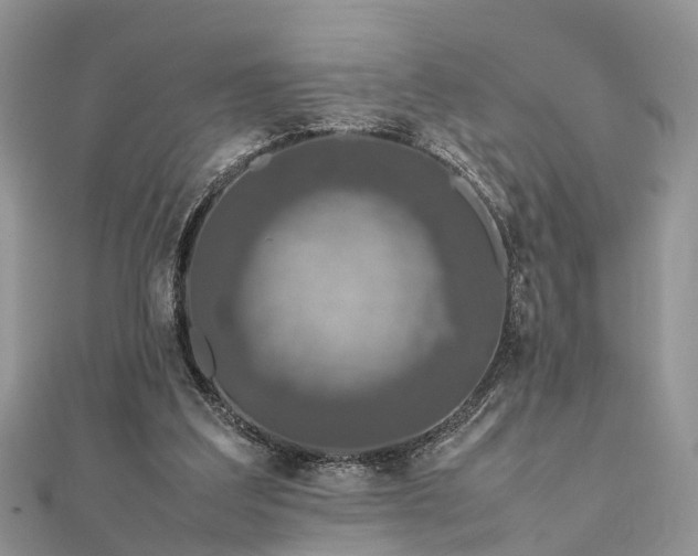 X0000111840203200907301057