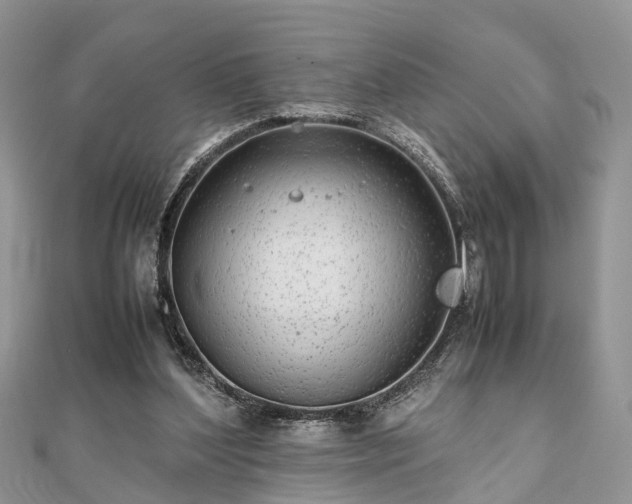 X0000111840204200907301057