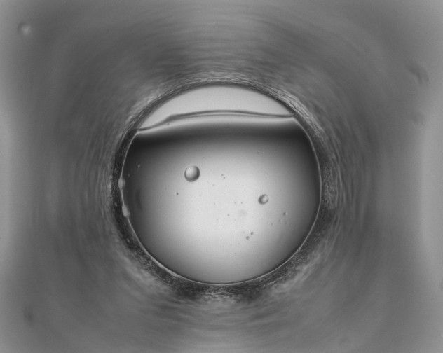 X0000111840207200907301057