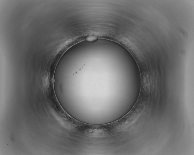 X0000111840208200907301057