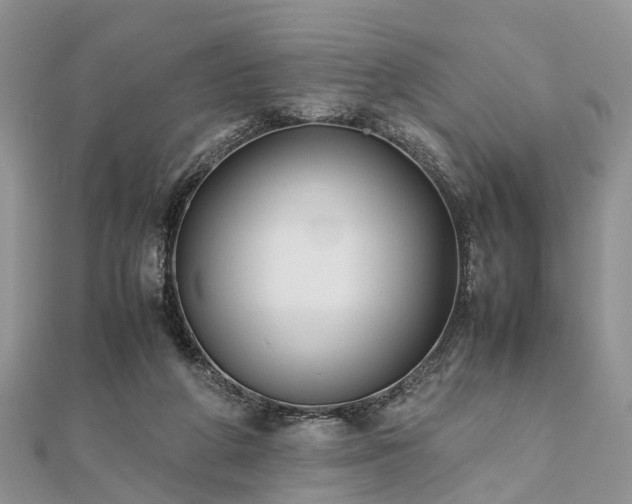 X0000111840210200907301057