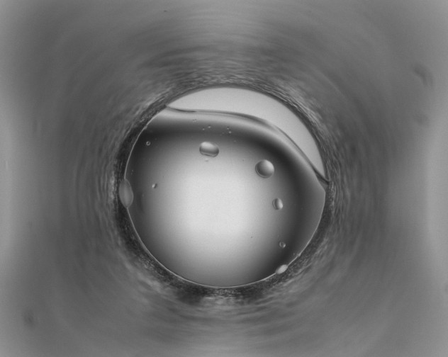 X0000111840211200907301057