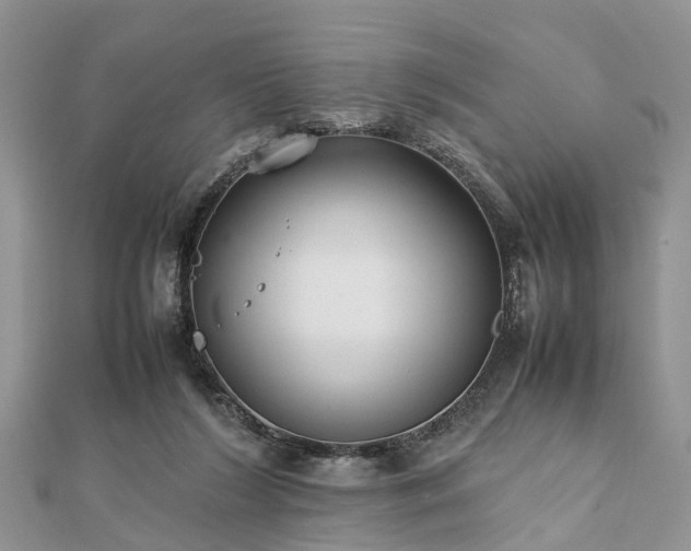 X0000111840212200907301057