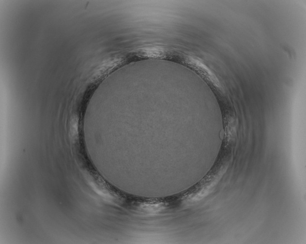 X0000111840213200907301057