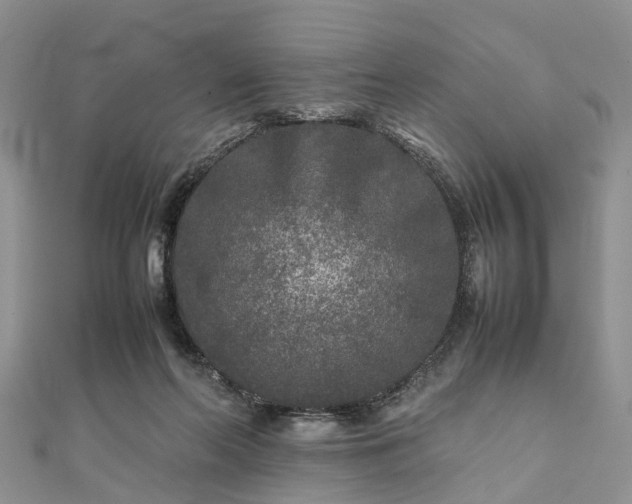 X0000111840214200907301057