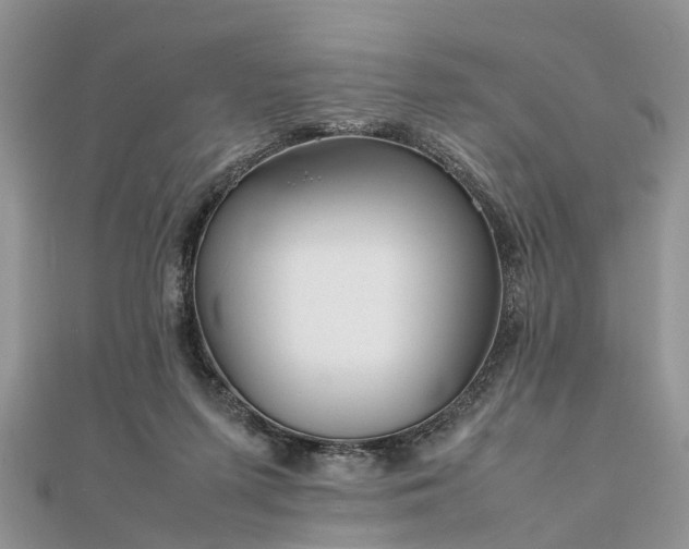 X0000111840215200907301057