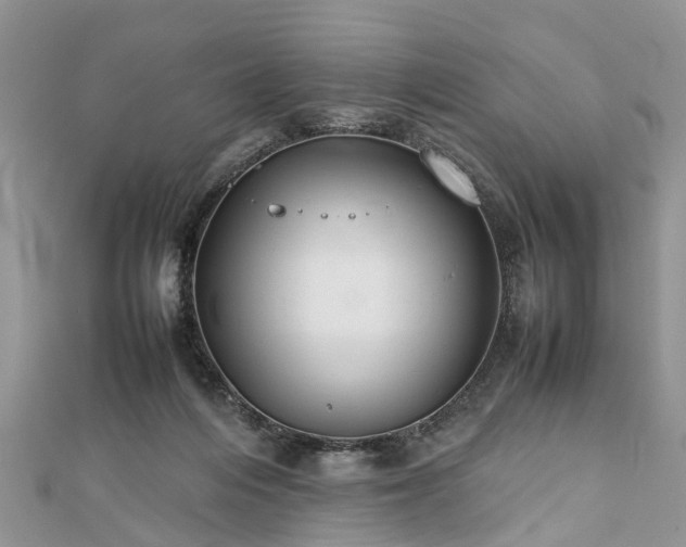 X0000111840216200907301057