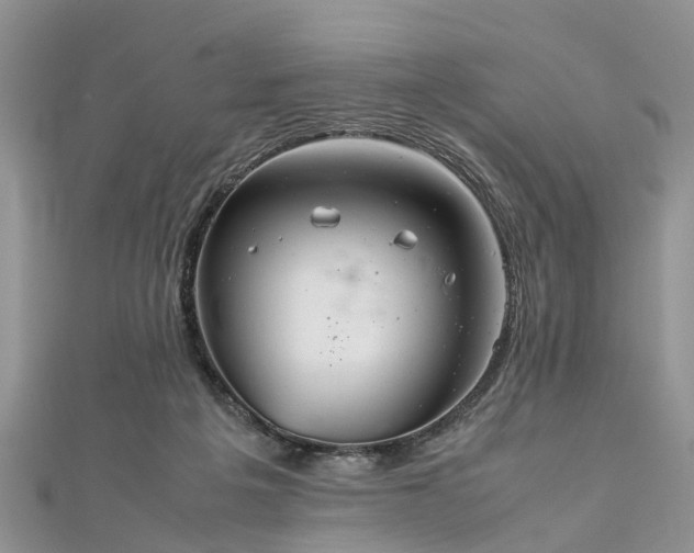 X0000111840217200907301057