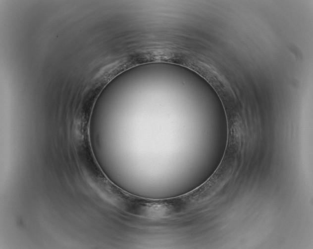 X0000111840218200907301057