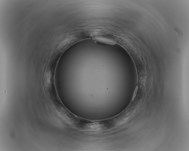 X0000111840219200907301057