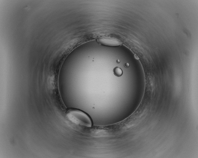 X0000111840224200907301057