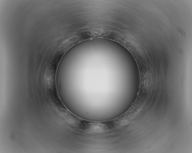 X0000111840226200907301057