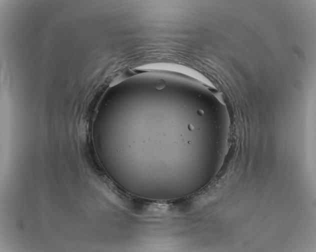 X0000111840227200907301057