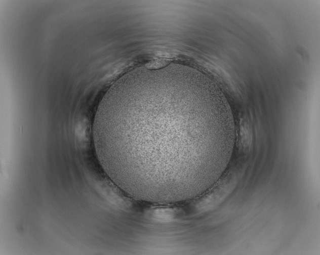 X0000111840228200907301057