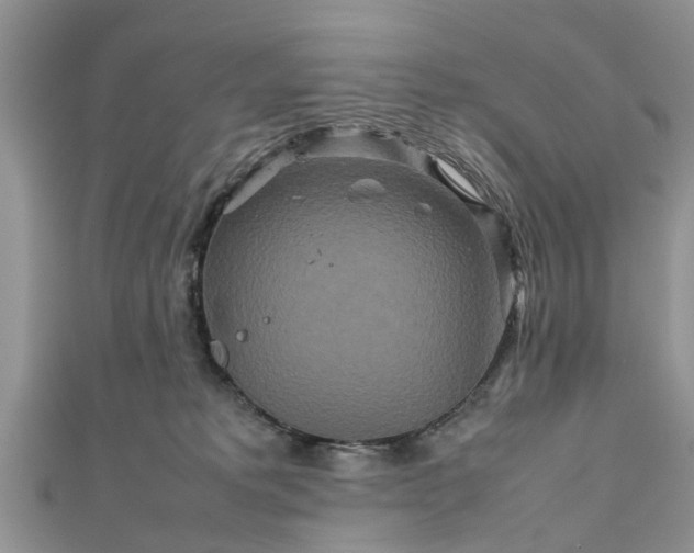 X0000111840229200907301057