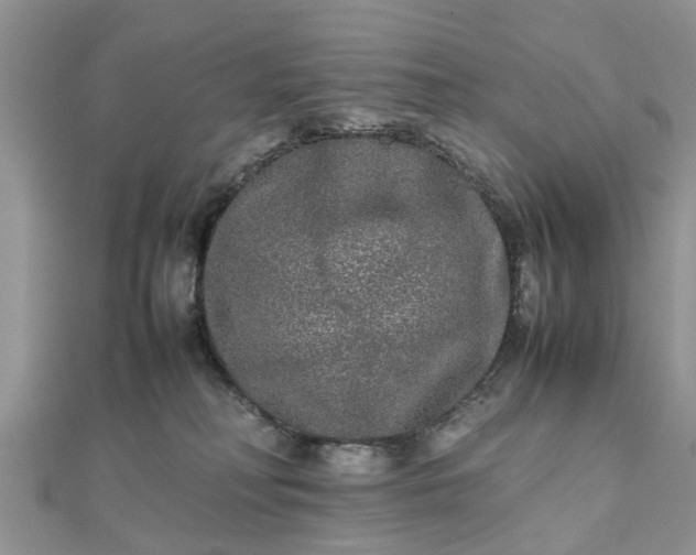 X0000111840230200907301057