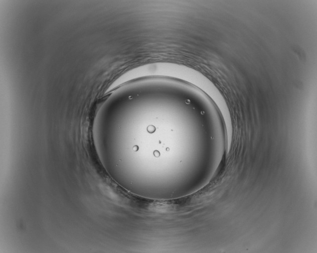 X0000111840231200907301057