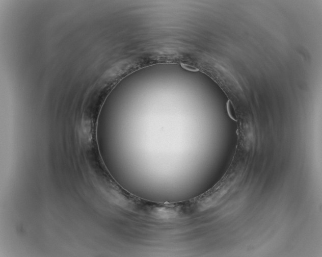 X0000111840232200907301057