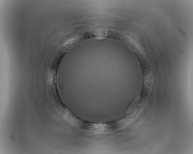 X0000111840233200907301057