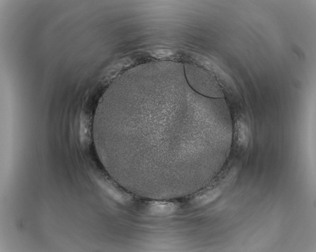 X0000111840234200907301057