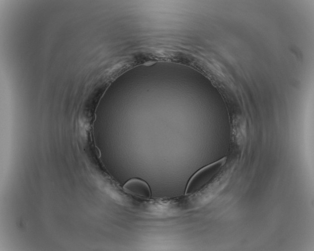 X0000111840235200907301057