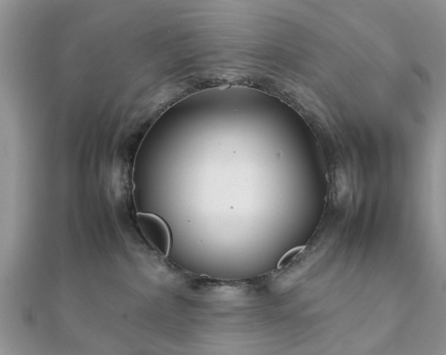 X0000111840236200907301057